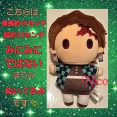 鬼滅の刃 竈門炭治郎/❤ ゆらふわぬいぐるみ ポップアップショップ ～絆の軌跡～