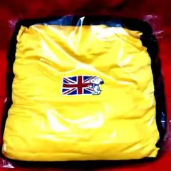 SNOOPYビッグサイズビーズクッション