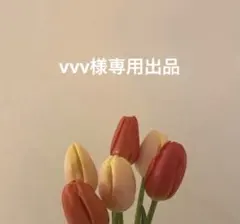 vvv様
