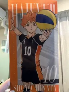 一番くじ　ハイキュー!! 日向翔陽 クリアファイル 10