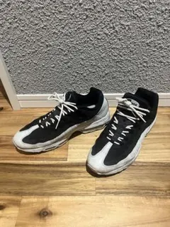 ナイキエ　アマックス95