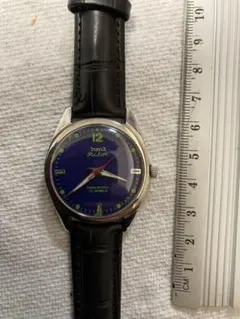 Item thumbnail for item 7be4c2cc-9fe2-4c6c-8a93-d407781cf2de