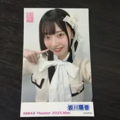 AKB48 坂川陽香 個別生写真 AKB48 Theater 2025.Mar