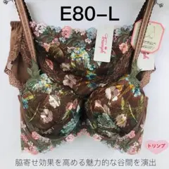 トリンプ　レッドレーベル 0092 ブラジャー&ショーツE80-L