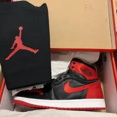 Nike WMNS Air Jordan 1 Retro OG サテン bredのサムネイル