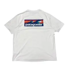 Patagonia キャプリーンクールデイリー Tシャツ L ホワイト