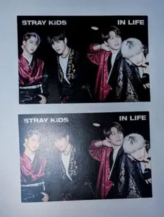 STRAY KIDS IN LIFE アルバム付属品 2枚セット