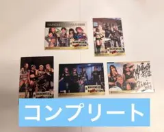 女子プロレス　マリーゴールド　トレーディングカード　ダーレボ　コンプセット 女子プロレス マリーゴールド トレーディングカード ダーレボ コンプ