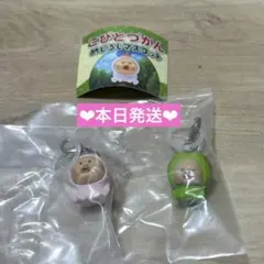 こびとずかん　めじるしアクセサリー　カクレモモジリ　スモモノウチ　2点セット