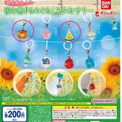 彩り変わった 涼を感じるめじるしアクセサリー