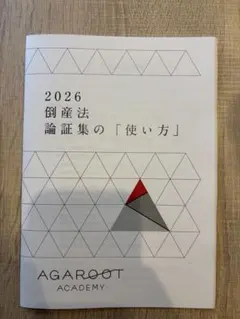 倒産法　アガルート　司法試験 過去問解析+論証集　計2点　2021 倒産法 アガルート 司法試験 過去問解析+論証集 計2点 2021