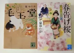 2025年最新】時代小説セットの人気アイテム - メルカリ