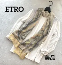 最終価格【ETRO】　美品　エトロ長方形ストール　ペイズリー柄 ETRO（エトロ） スカーフ ストール ショール アクセサリー 小物