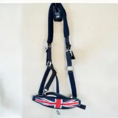 Item thumbnail for item 45ca7cd7-a5bf-4178-b6a1-f0f5d8f4affa