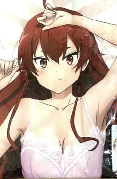正規品 コスパ 二次元 神のみぞ知るセカイ 高原歩美 スムース抱き枕カバー 正規品 コスパ 二次元 神のみぞ知るセカイ 高原歩美 スムース抱き枕