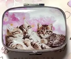 ⚠️フォロワー様感謝SALE⚠️ハンドメイド レジン キジトラ ピルケース