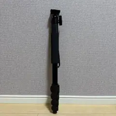 Item thumbnail for item 68f5cdfc-25b8-4159-b017-1c198ea0e9e4