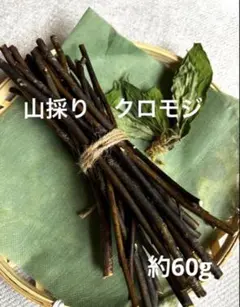 2026年最新】クロモジ 山採りの人気アイテム - メルカリ