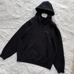 Hurley Phantom for RHC 別注 ロンハーマン パーカー Sのサムネイル