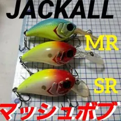 Item thumbnail for item 5ff62f8e-b211-4d88-8362-80e8625e862a