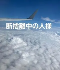 断捨離中の人様