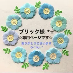 ブリック様 リクエスト 4点 まとめ商品