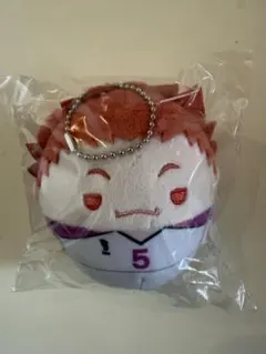 ハイキュー!! ぬいくじ 天童E賞2点 テンドウワシ - メルカリ
