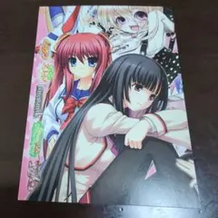 ふぁいなる・あぷろーち 販促ポスター B2 西又葵 PS2 希少 - メルカリ