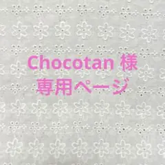 [専用] Chocotan様　マイバッグ大きめ他