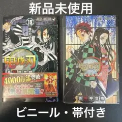 鬼滅の刃 鬼殺隊見聞録　新品ビニールつき19巻　新品未読　2冊
