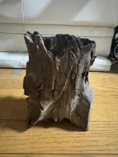 流木 インテリア素材