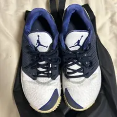 ナイキ　2018　ジョーダン トレーナー ST G ゴルフシューズ　26USED