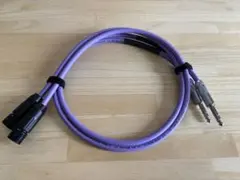 Item thumbnail for item 2cb89e6f-7014-4a06-a5ed-ad31c8c60d28