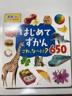 はじめてずかん これ、なーに？650