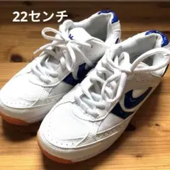 Item thumbnail for item d34e071d-6f4f-46a3-b371-bc4e9ceee9df