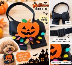 犬用 ハロウィン チョーカー かぼちゃ リボン サイズ調整可能 仮装