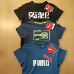 プーマ Tシャツ 130cm 3枚セット