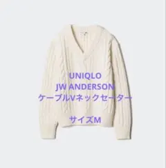 【美品】UNIQLO JW ANDERSON ケーブルVネックセーター　サイズM