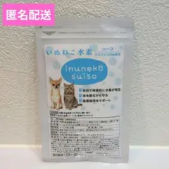 Item thumbnail for item 9dff5005-b1c2-4c28-967e-11f8dff74c48