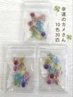 【数量限定】幸運のカメさん 10色30個セット