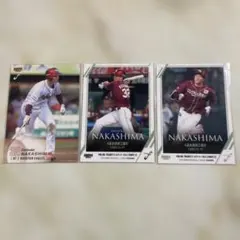 Item thumbnail for item 1daacf07-90ad-4629-89c0-94c4dc736ade