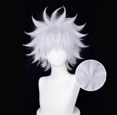 HUNTER × HUNTER ハンターハンター キルア=ゾルディック ウィッグ