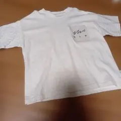 M(105cm-120cm)molモルTシャツのサムネイル