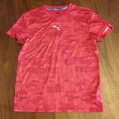 Item thumbnail for item 50737ac2-3d4e-4940-ac5f-3d5d28851142