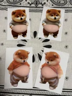 新製品　4点セット　柴犬 お腹ぷにぷにシール 3Dシール ステッカーシール帳