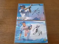 小杉陽太 狩野　サイン入りカード 2枚セット
