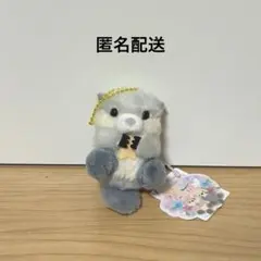 うきうきらっこぬいぐるみ MC