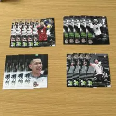 2025年最新】柳田将洋選手の人気アイテム - メルカリ