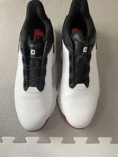 フットジョイ シューズ