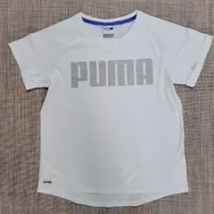 PUMA ホワイト Tシャツ Mサイズ